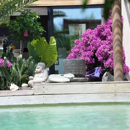 Bali * Cassis