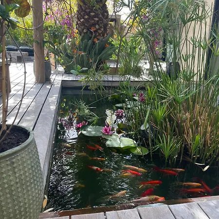 Bali Villa Cassis