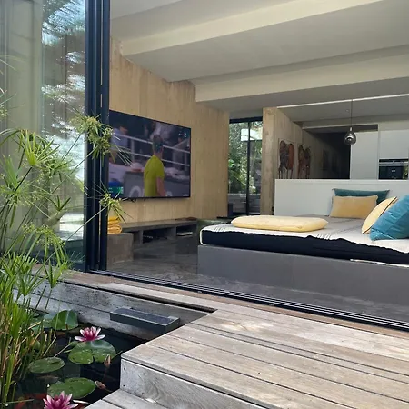 Bali Cassis